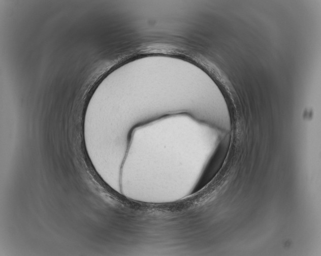 X0000096970529200802291124