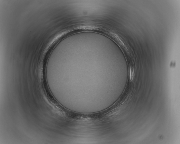 X0000096970531200802291124