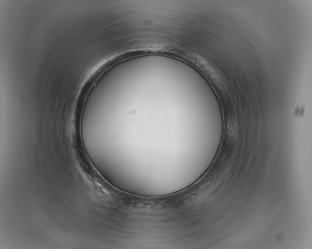 X0000096970532200802291124