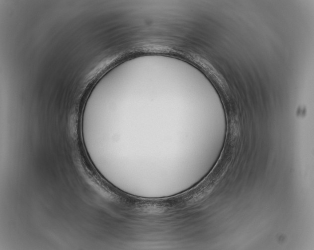 X0000096970533200802291124