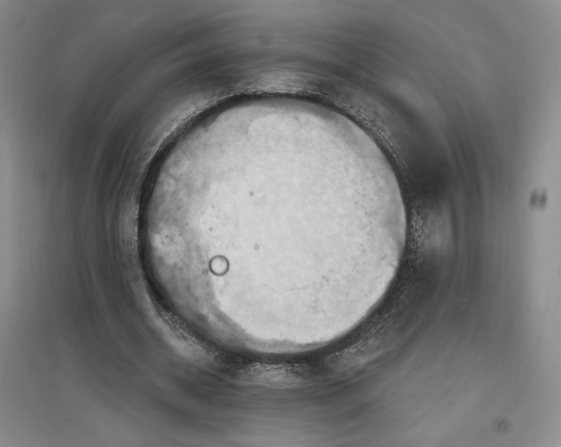 X0000096970534200802291124