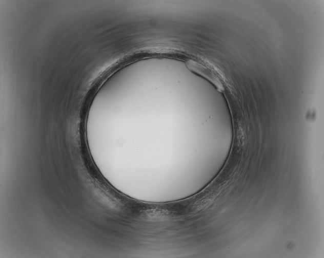 X0000096970535200802291124