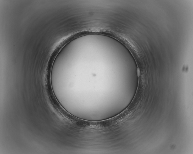 X0000096970536200802291124