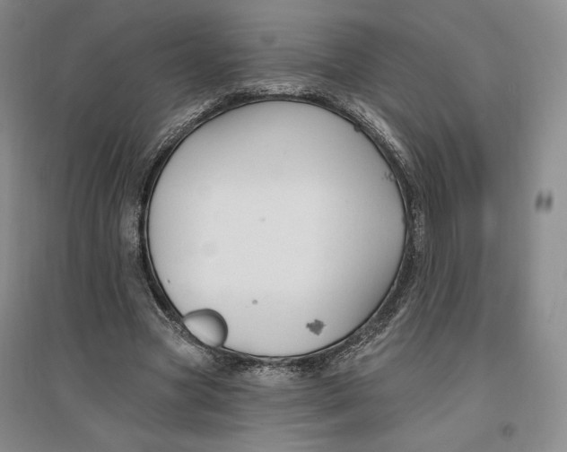 X0000096970537200802291124