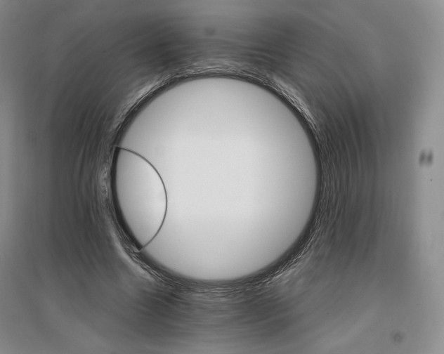 X0000096970538200802291124