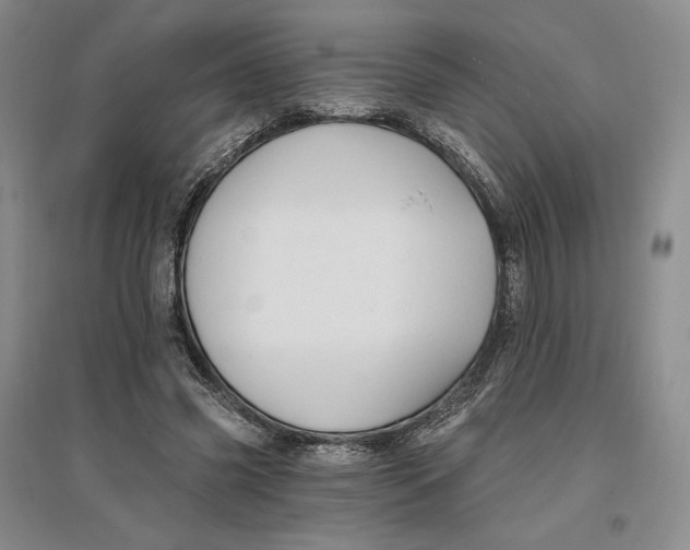 X0000096970541200802291124