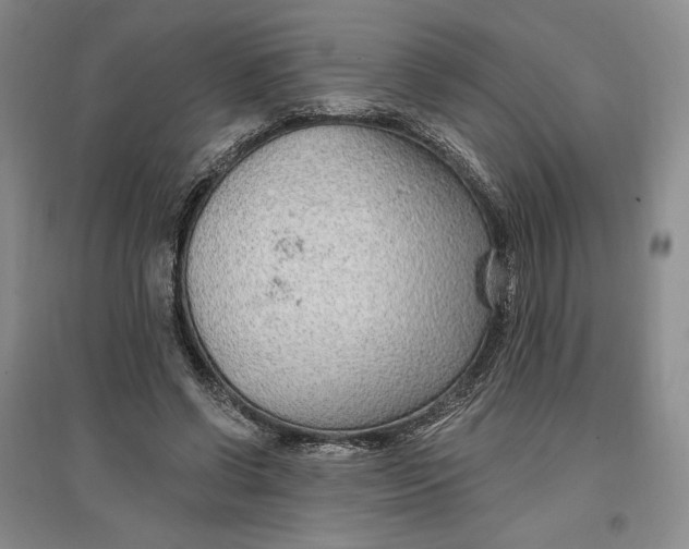 X0000096970542200802291124