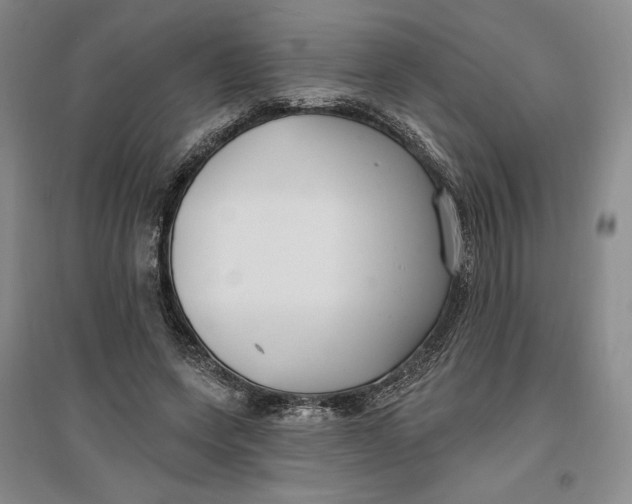 X0000096970543200802291124