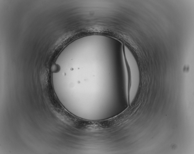 X0000096970544200802291124