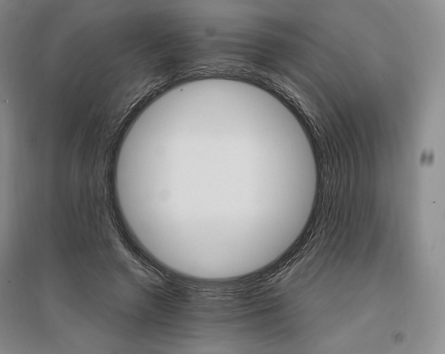 X0000096970546200802291124