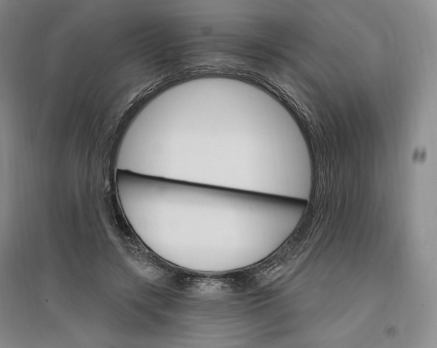 X0000096970547200802291124