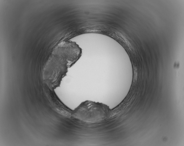 X0000096970549200802291124