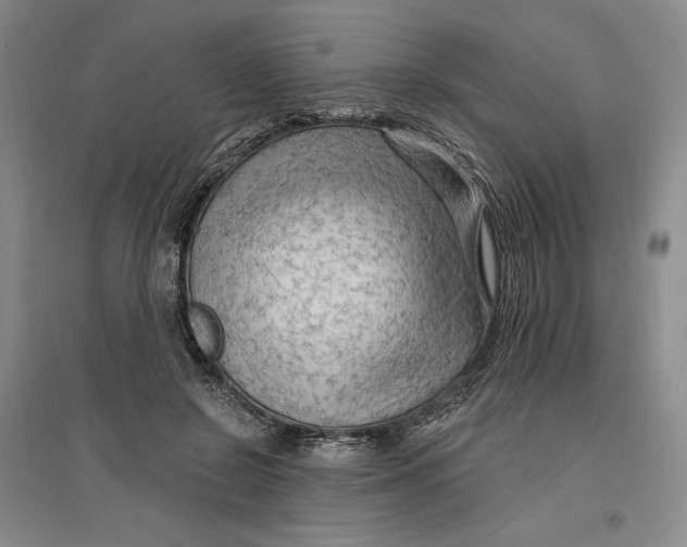 X0000096970550200802291124