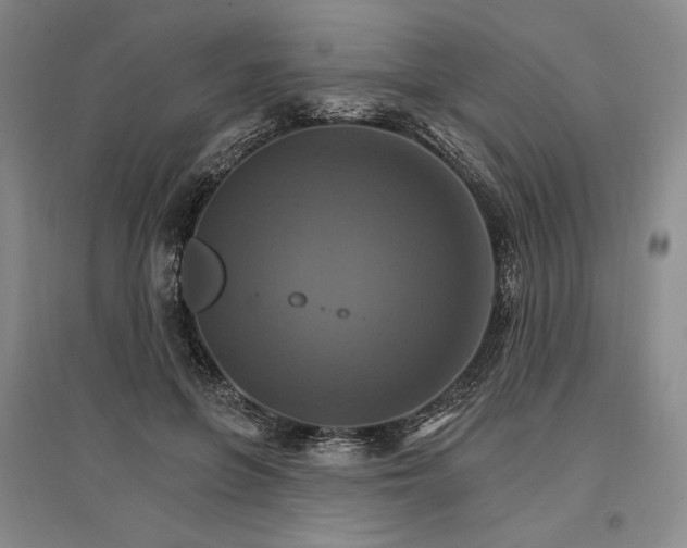 X0000096970551200802291124