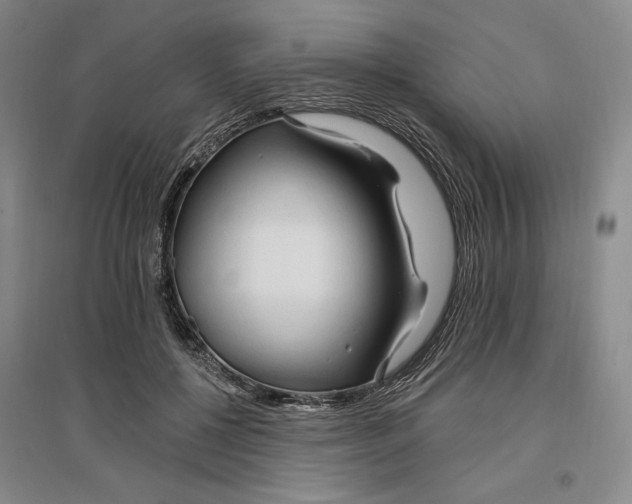 X0000096970552200802291124