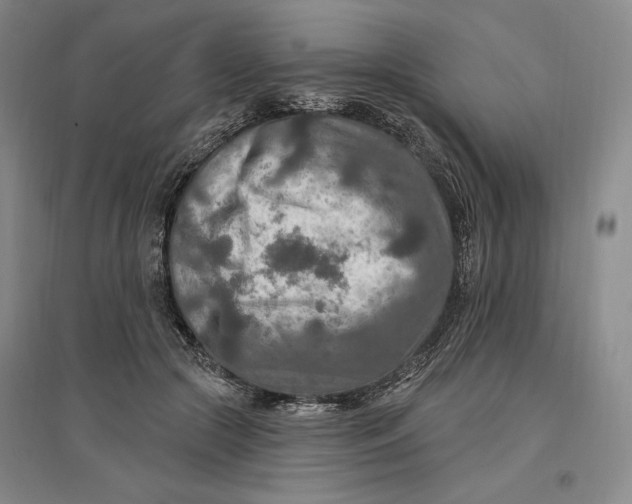 X0000096970553200802291124