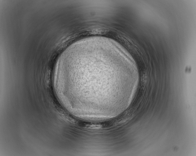 X0000096970554200802291124