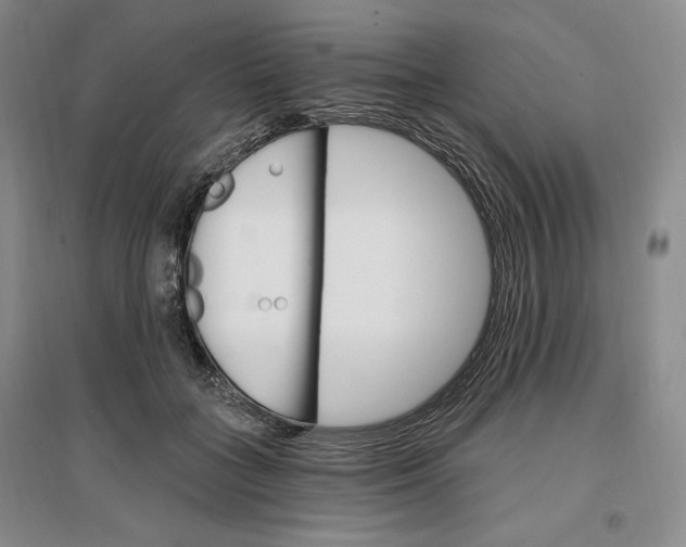 X0000096970555200802291124