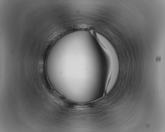 X0000096970556200802291124