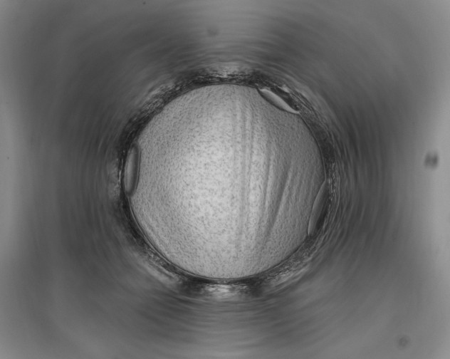 X0000096970558200802291124