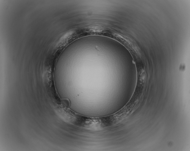 X0000096970559200802291124