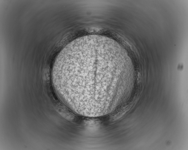 X0000096970561200802291124