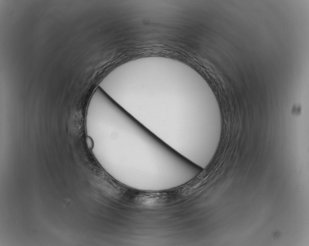 X0000096970563200802291124