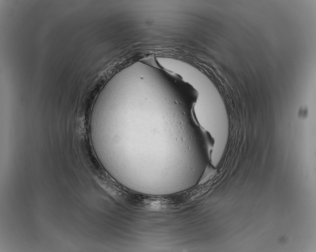 X0000096970564200802291124