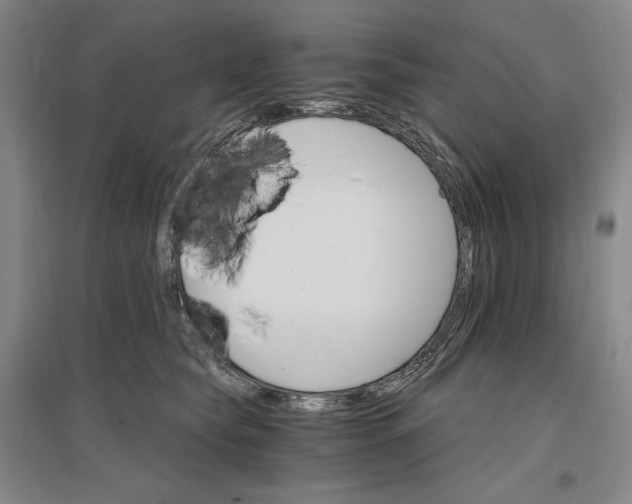 X0000096970565200802291124