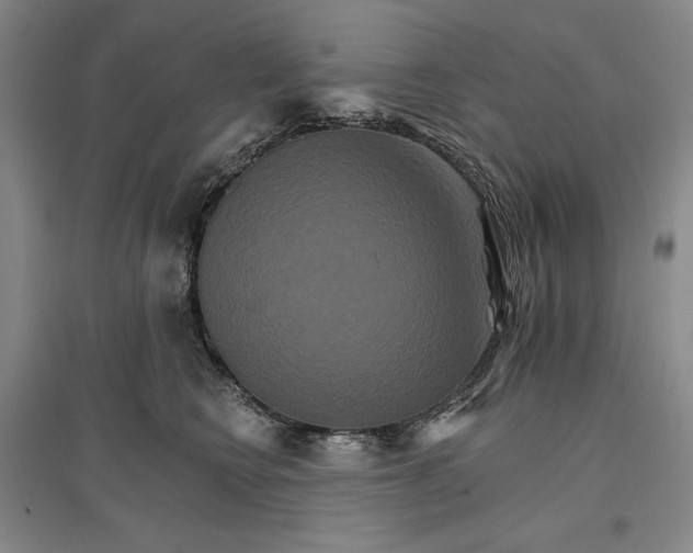 X0000096970566200802291124