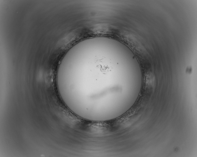 X0000096970567200802291124