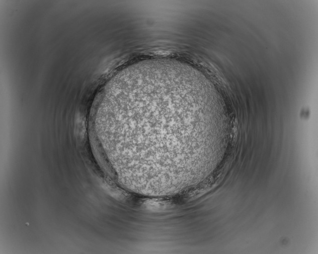 X0000096970568200802291124