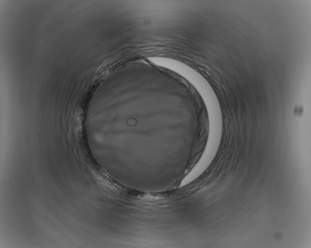 X0000096970570200802291124