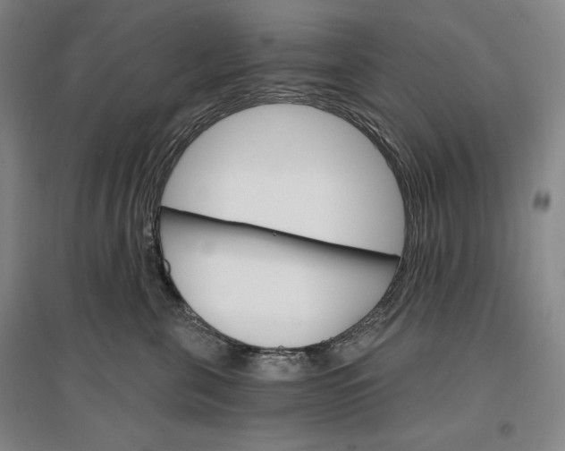 X0000096970571200802291124