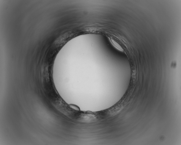 X0000096970572200802291124