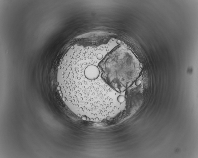 X0000096970573200802291124