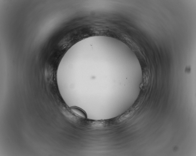 X0000096970574200802291124