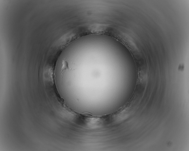 X0000096970575200802291124