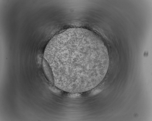 X0000096970576200802291124