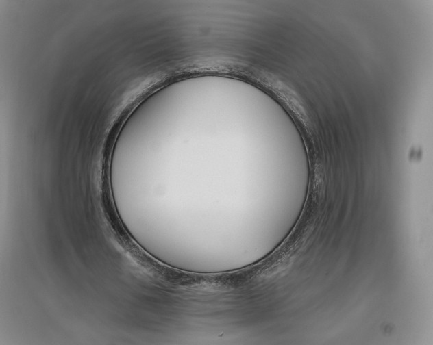 X0000096970578200802291124