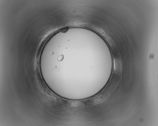 X0000096970579200802291124