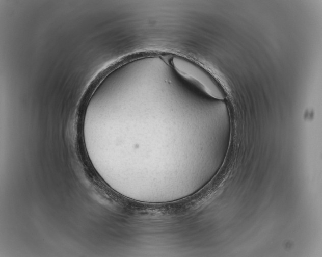 X0000096970580200802291124