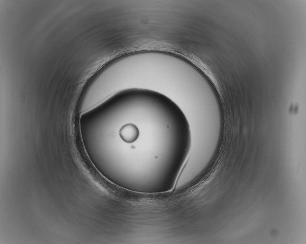 X0000096970581200802291124