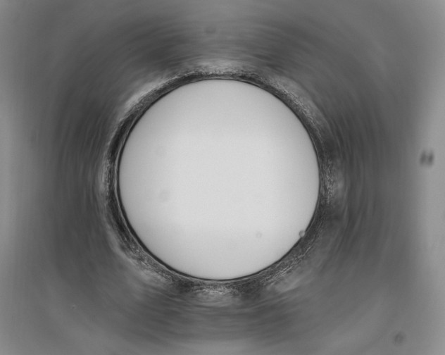 X0000096970583200802291123