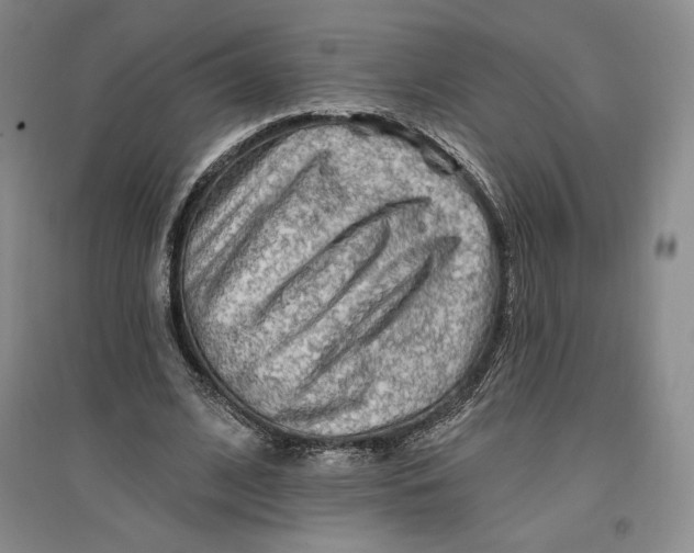 X0000096970584200802291123