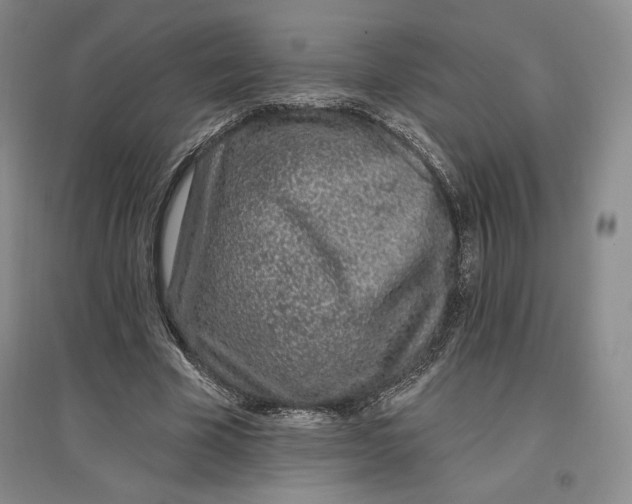 X0000096970585200802291123