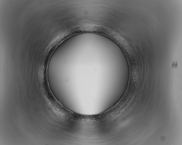 X0000096970586200802291123