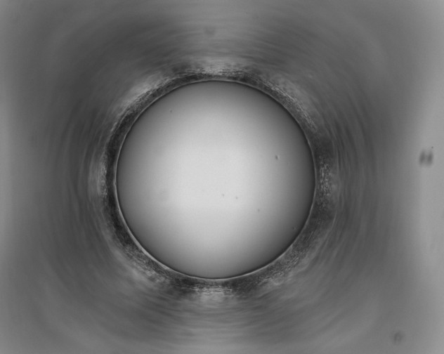 X0000096970587200802291123