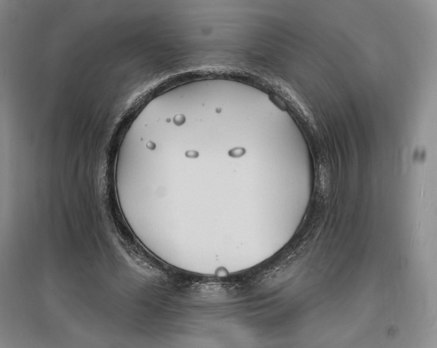 X0000096970588200802291123