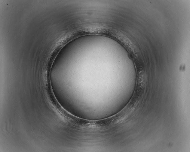 X0000096970589200802291123